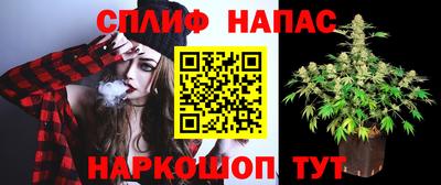 PSILOCYBIN Будённовск
