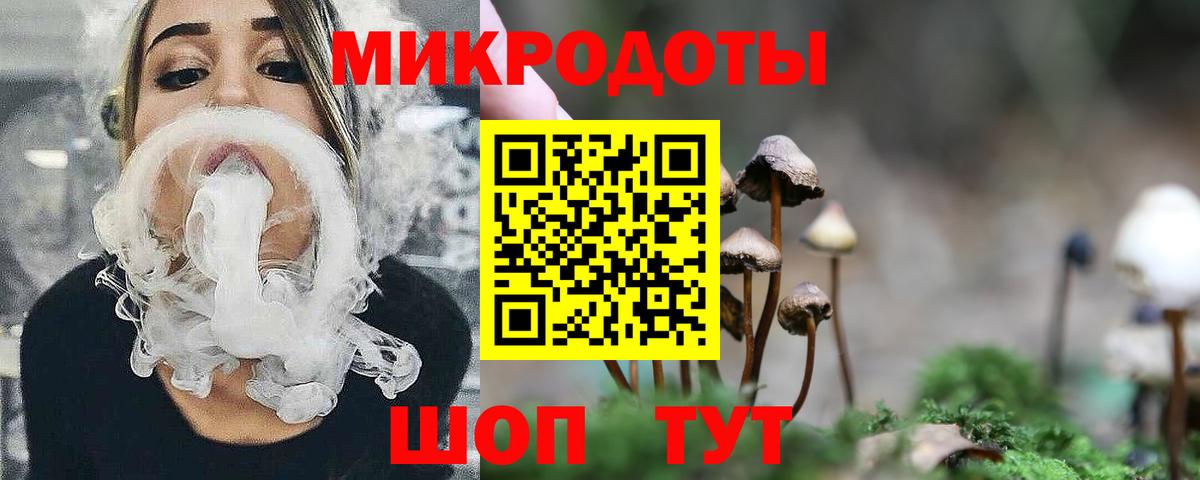 Псилоцибиновые грибы Psilocybe  Вход с VPN  Снежинск 
